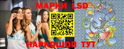мяу мяу мука Будённовск